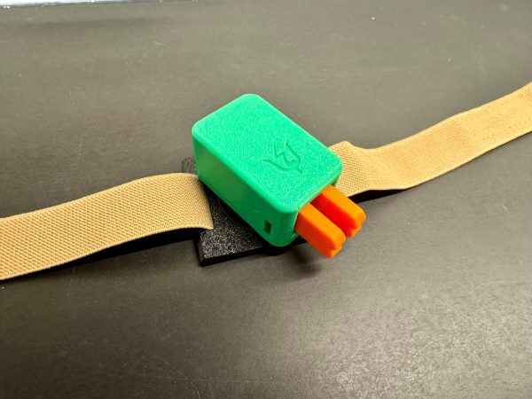 leg strap mount